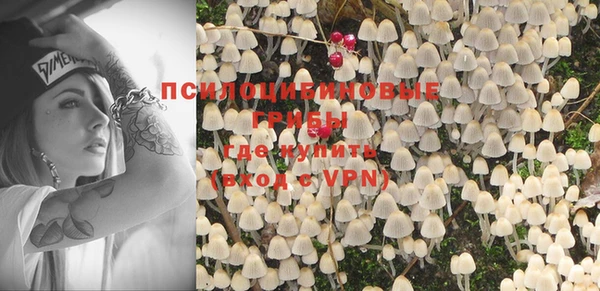 хмурый Верхний Тагил