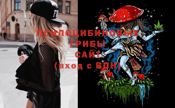гидра Верея