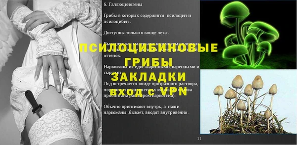 гидра Верея