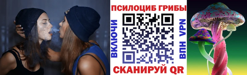 Галлюциногенные грибы Psilocybine cubensis  Верхняя Салда 